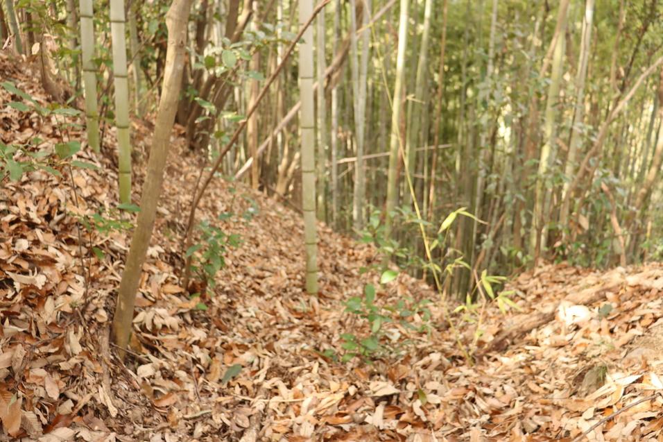 鍛冶山城