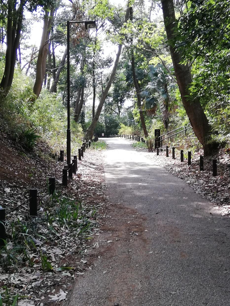 茅ケ崎城
