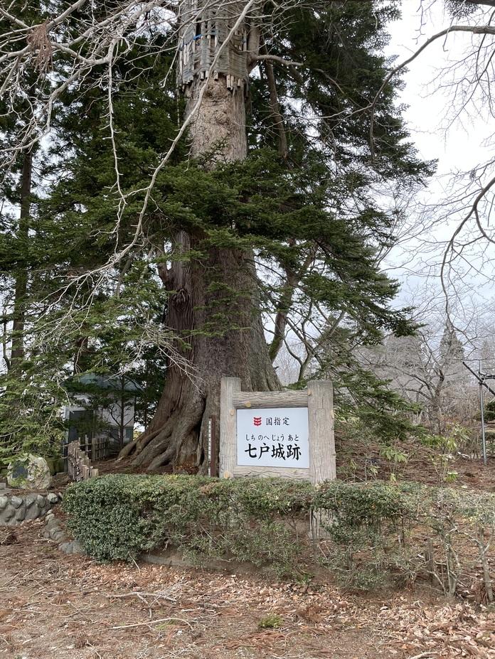 七戸城