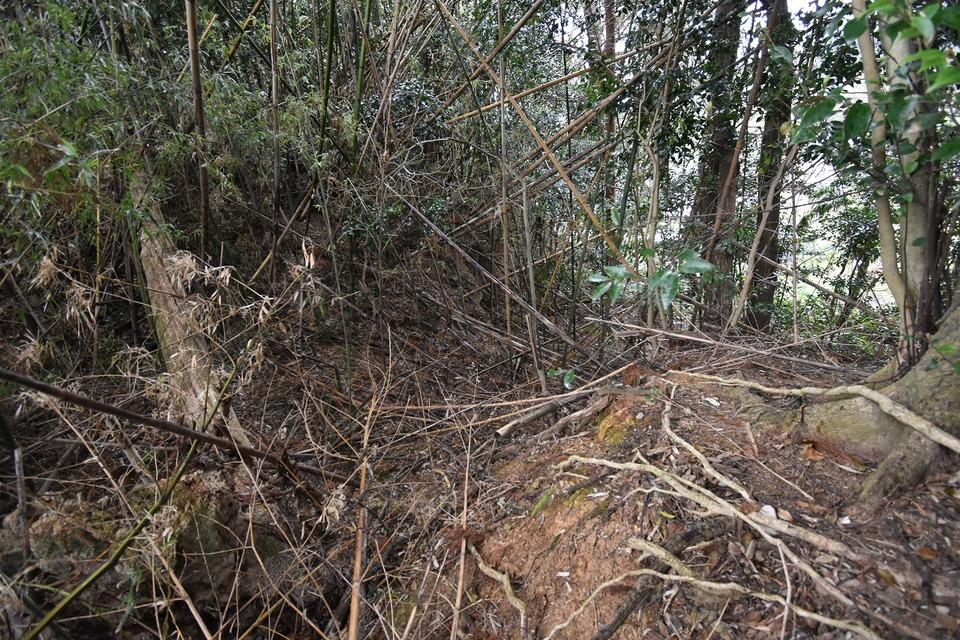 小野城