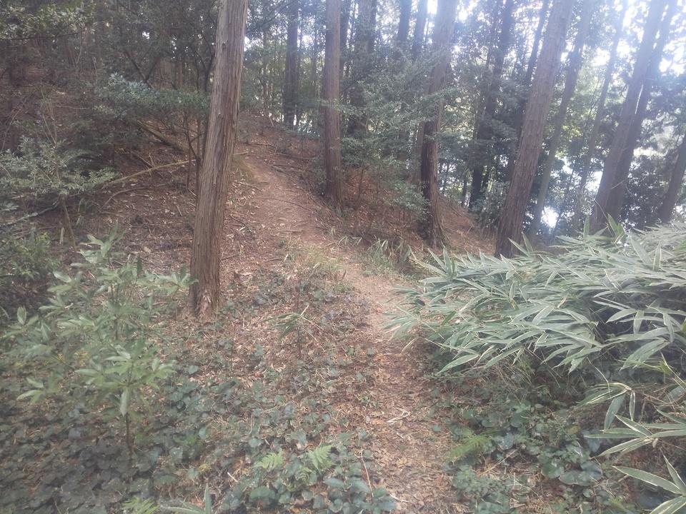 甲賀郡中惣城館