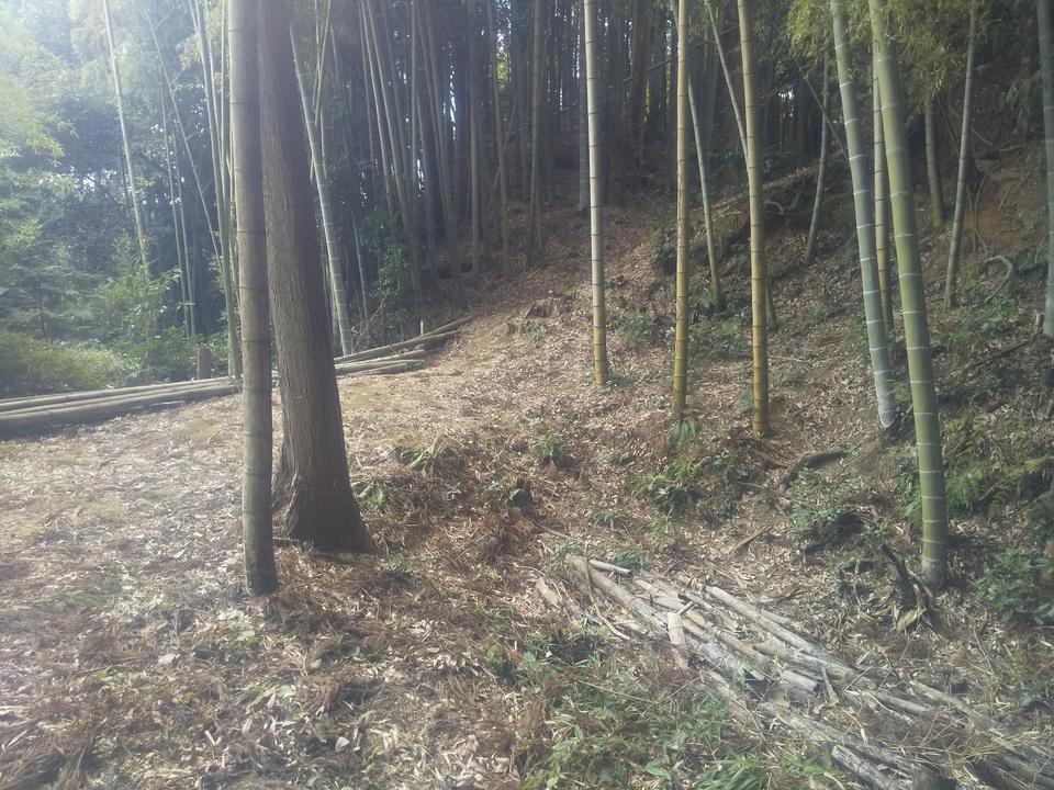 望月城