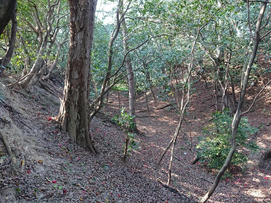 大高城