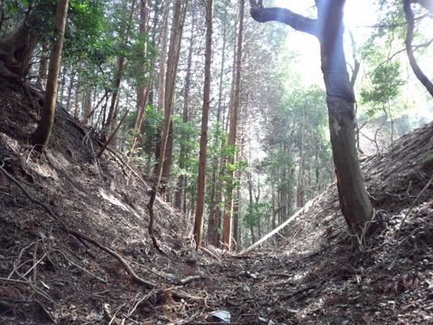 野間城