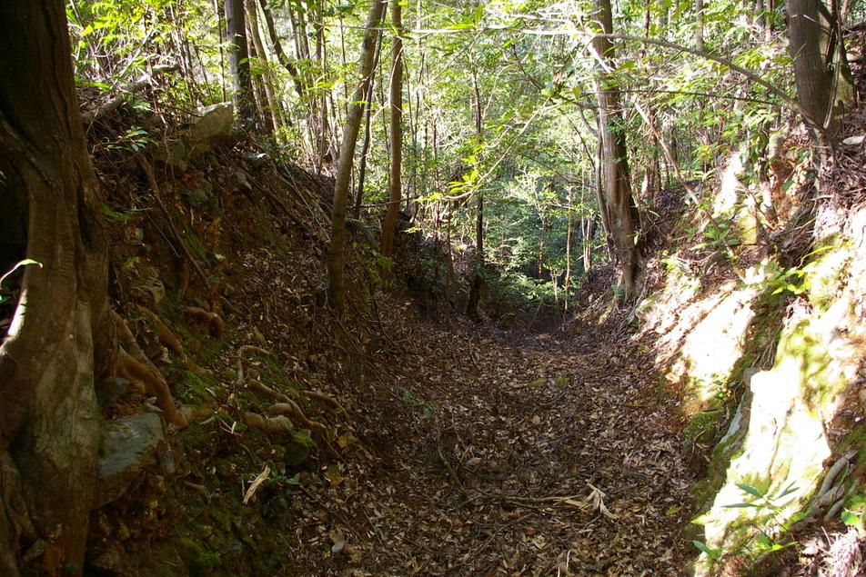 片岡城