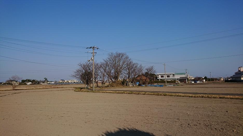 平島館