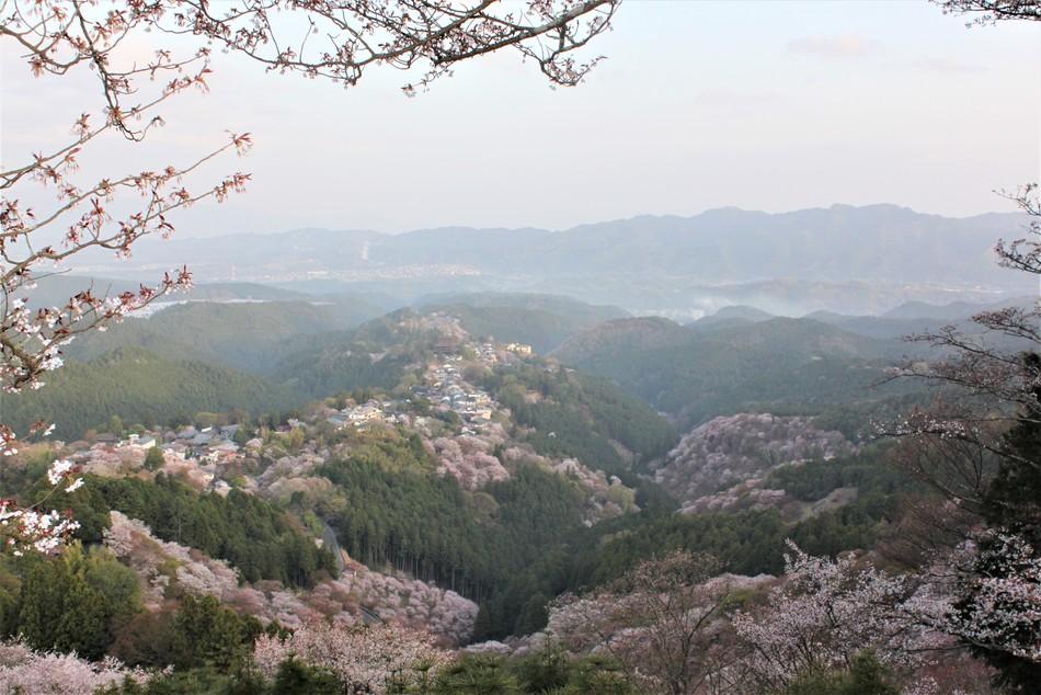 吉野城