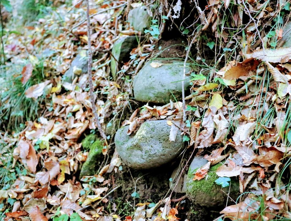 深沢城