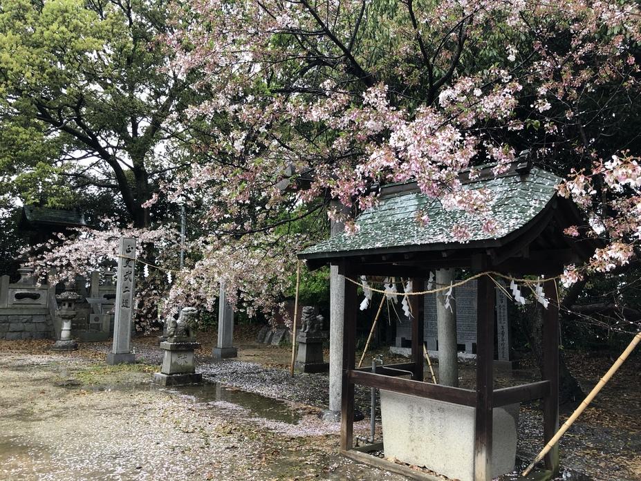 藤尾城