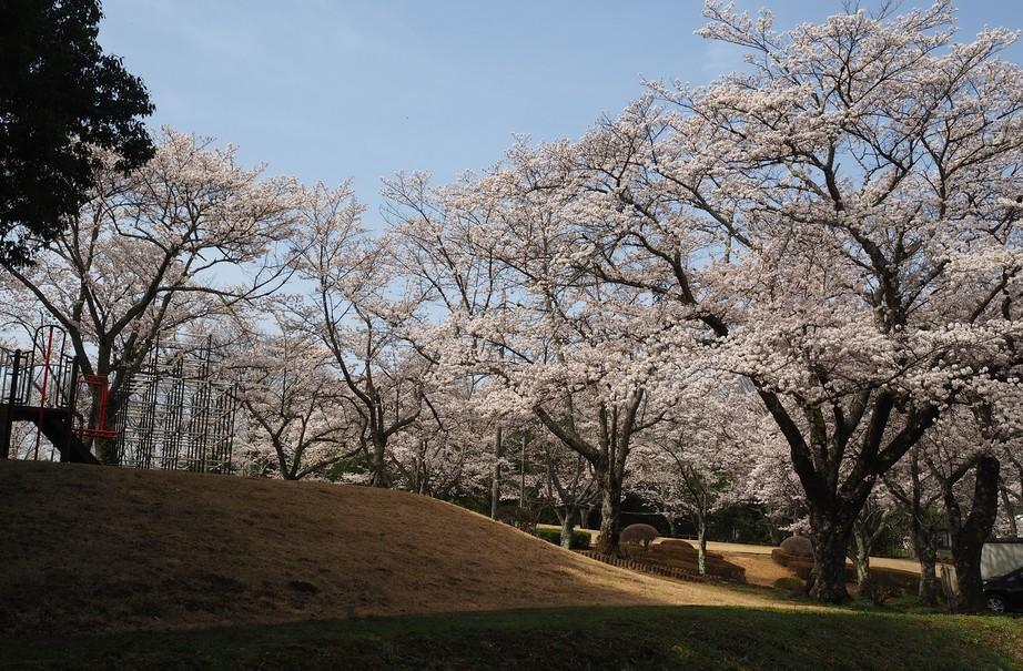 松尾城