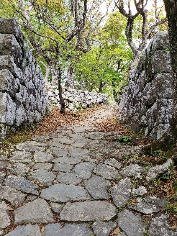 佐伯城