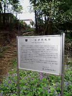 佐津間城