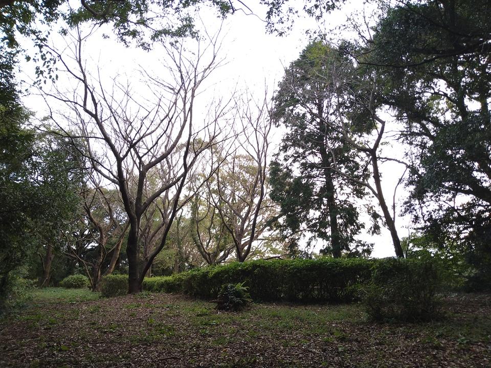 山田城