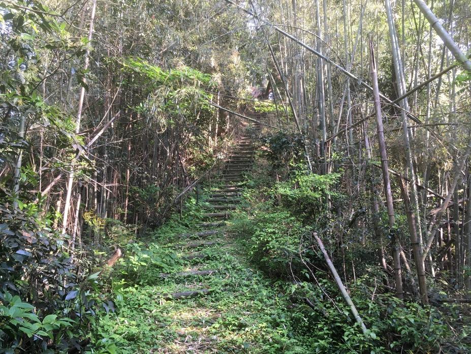 八代城