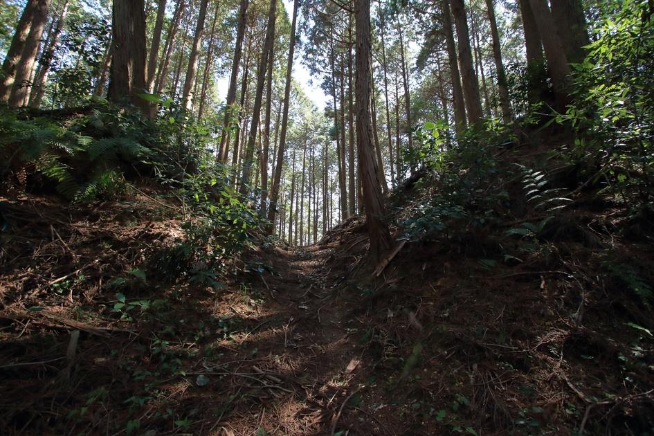 和田城