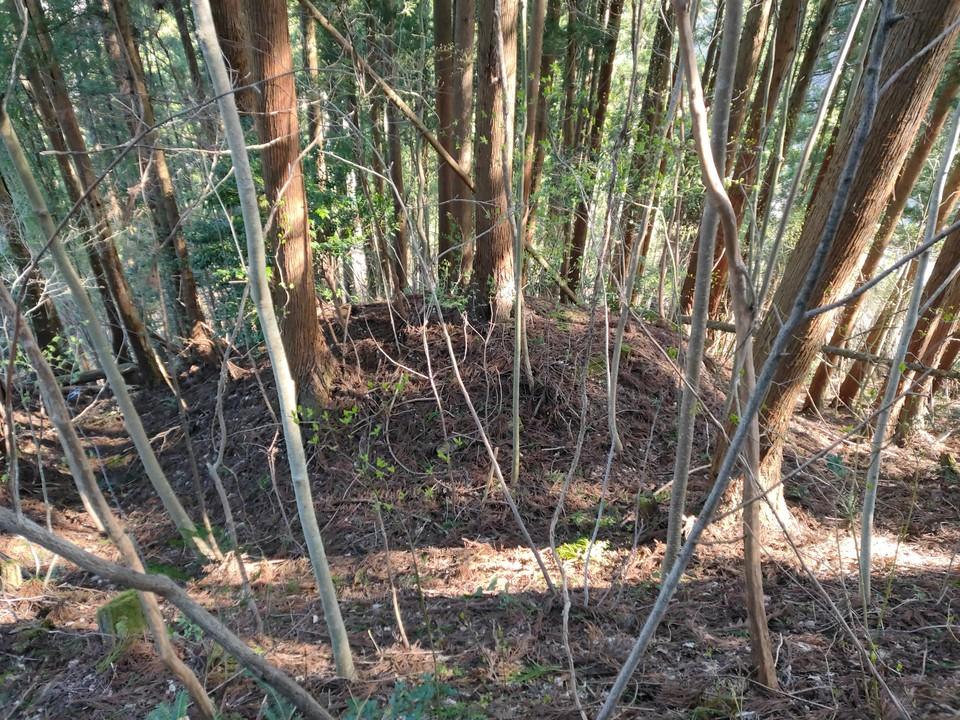 湯谷城