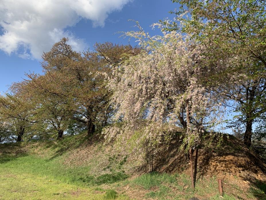 小山城