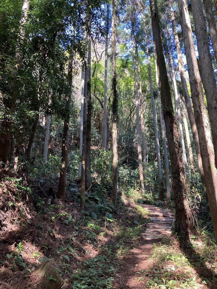 松岡城