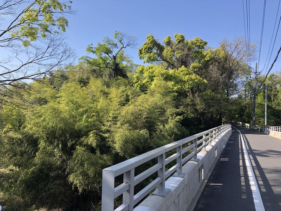 積善寺城