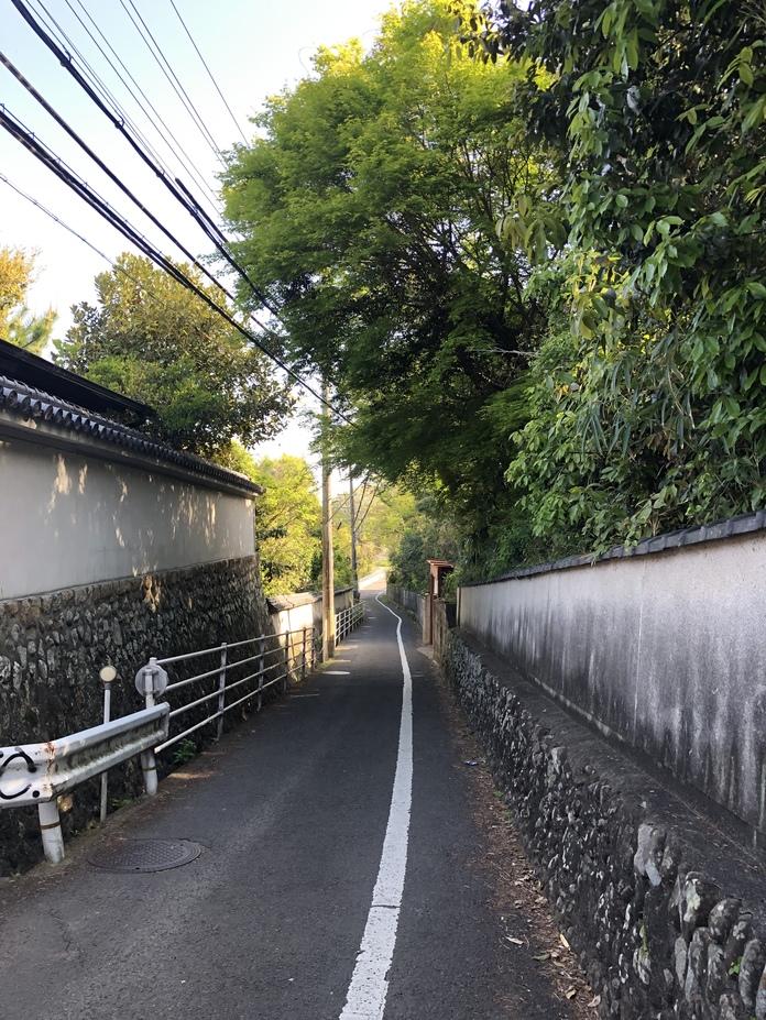積善寺城
