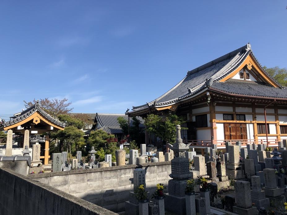 積善寺城