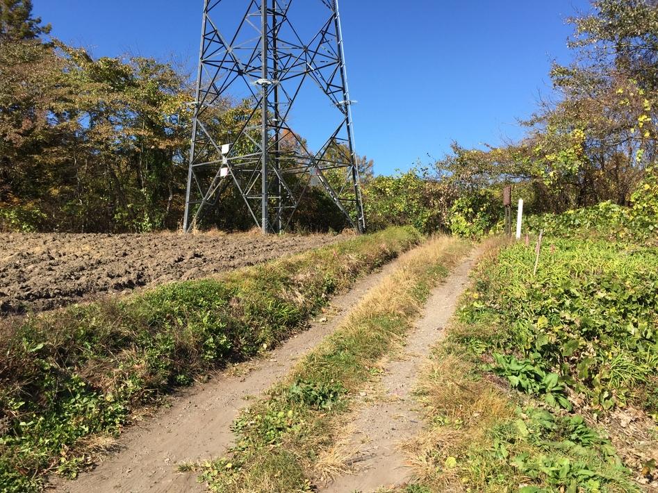 鎌原城