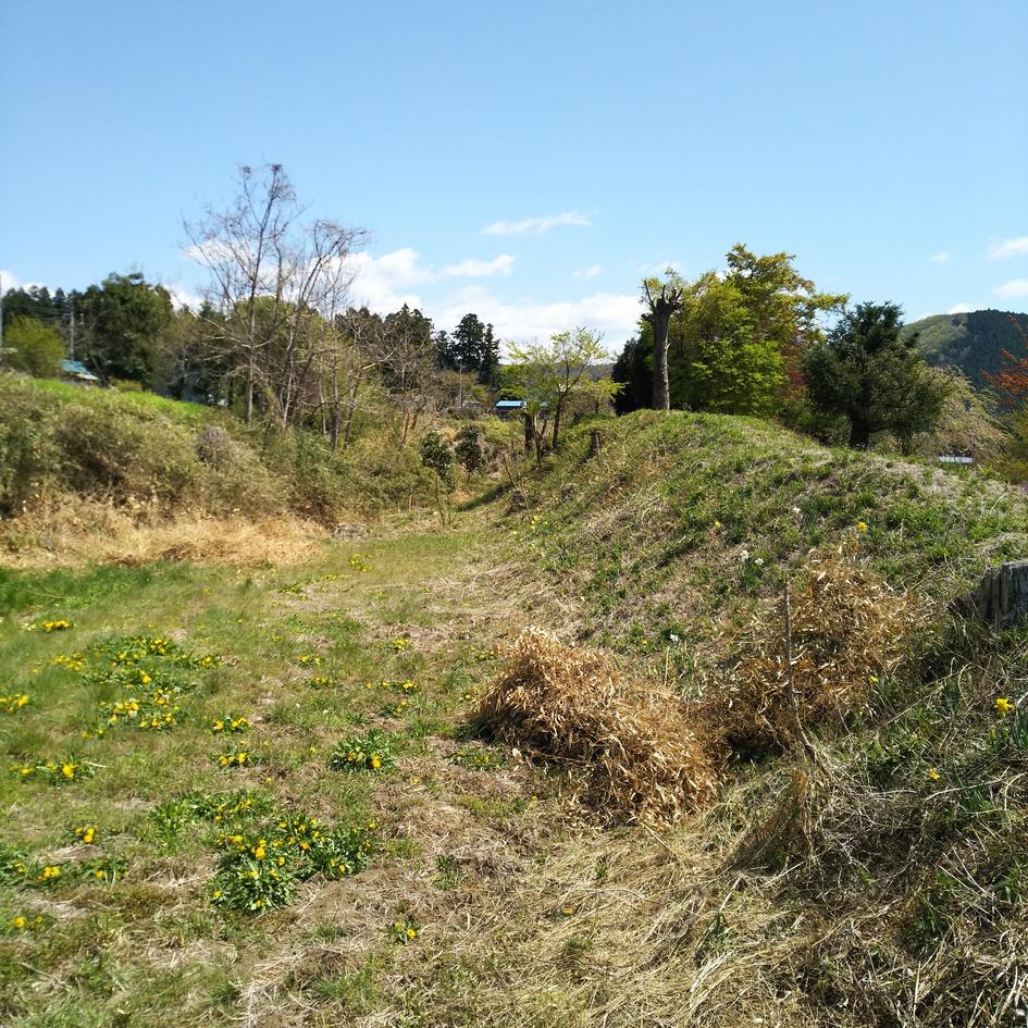 神梅城