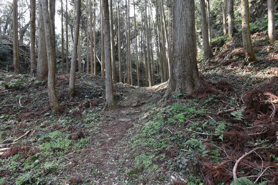 直谷城