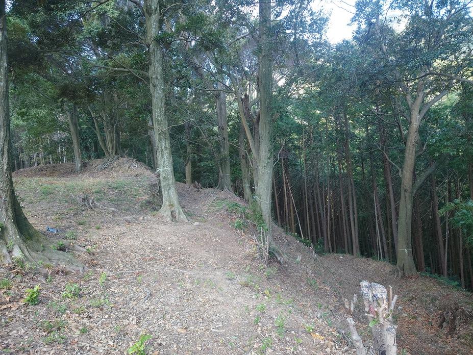 棚底城