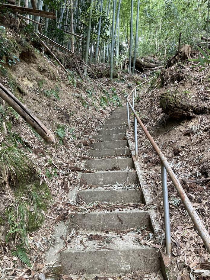 高玉城