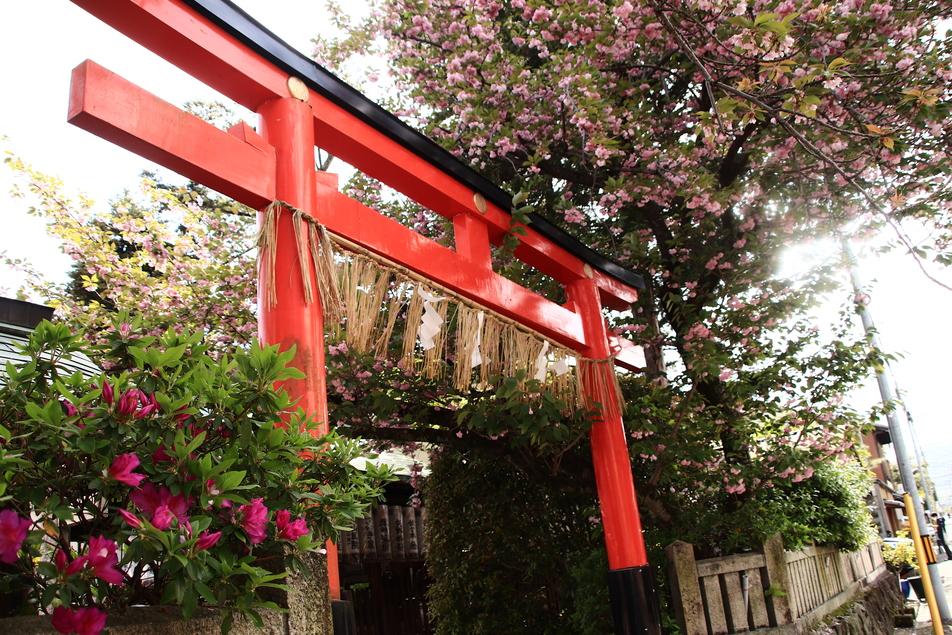 御土居