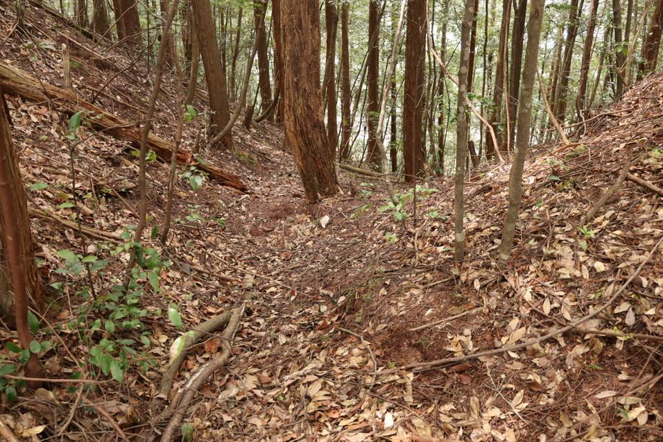 中山城