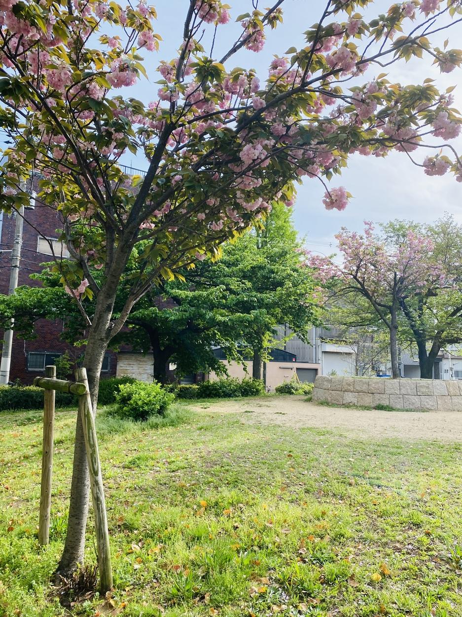 木津城