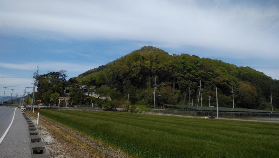 山本山城