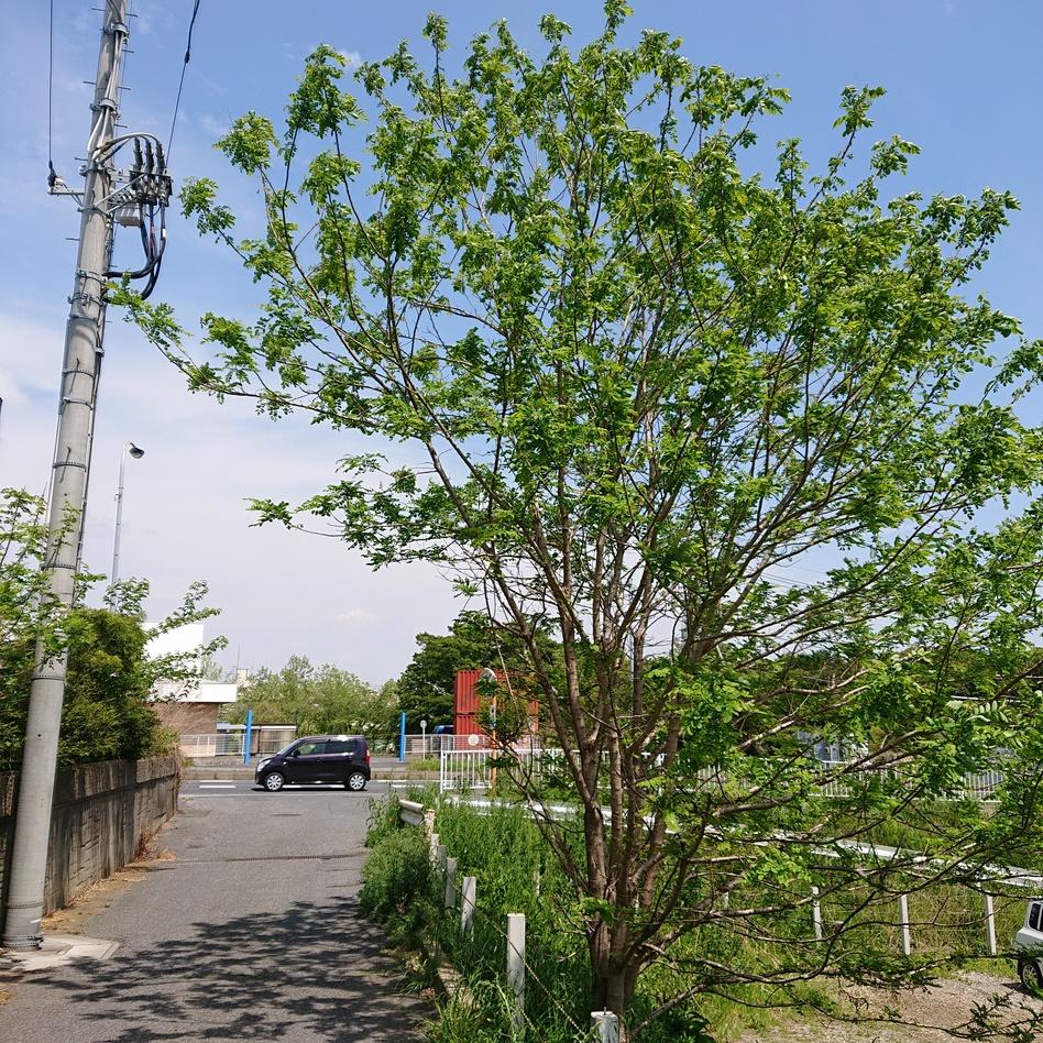 我孫子城