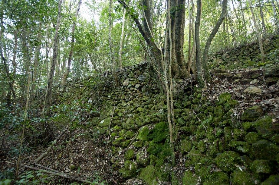 片岡城