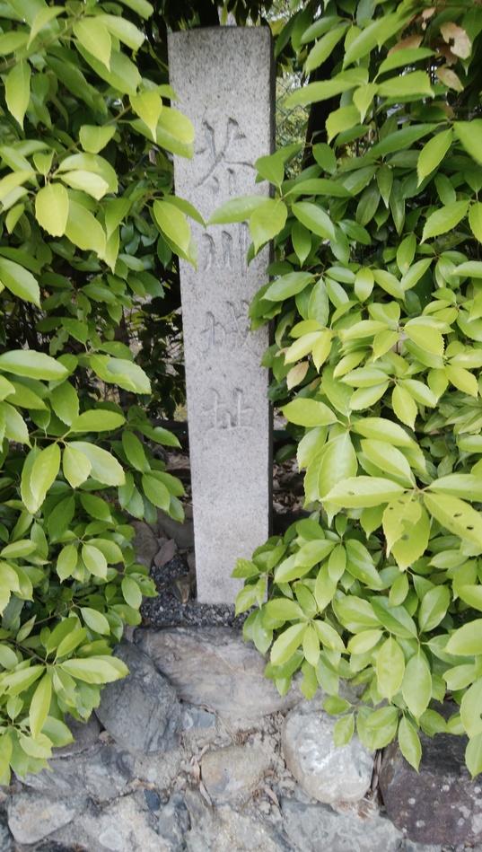 芥川城