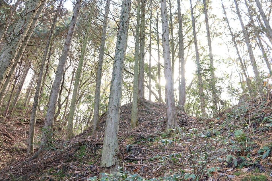 井の内城