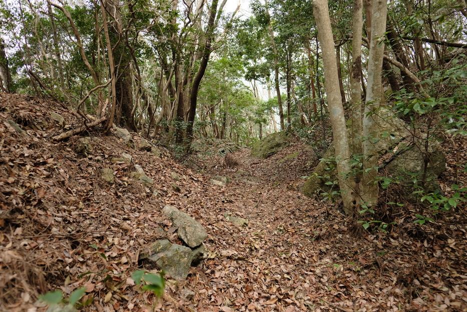 三岳城