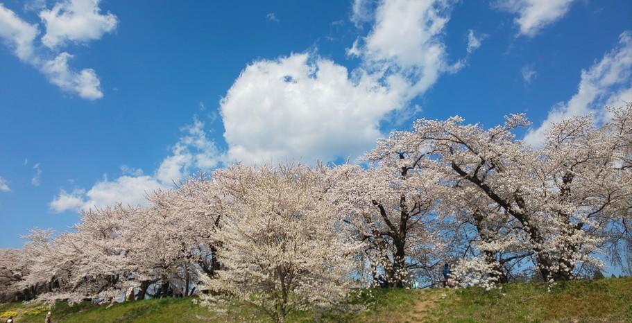 角館城
