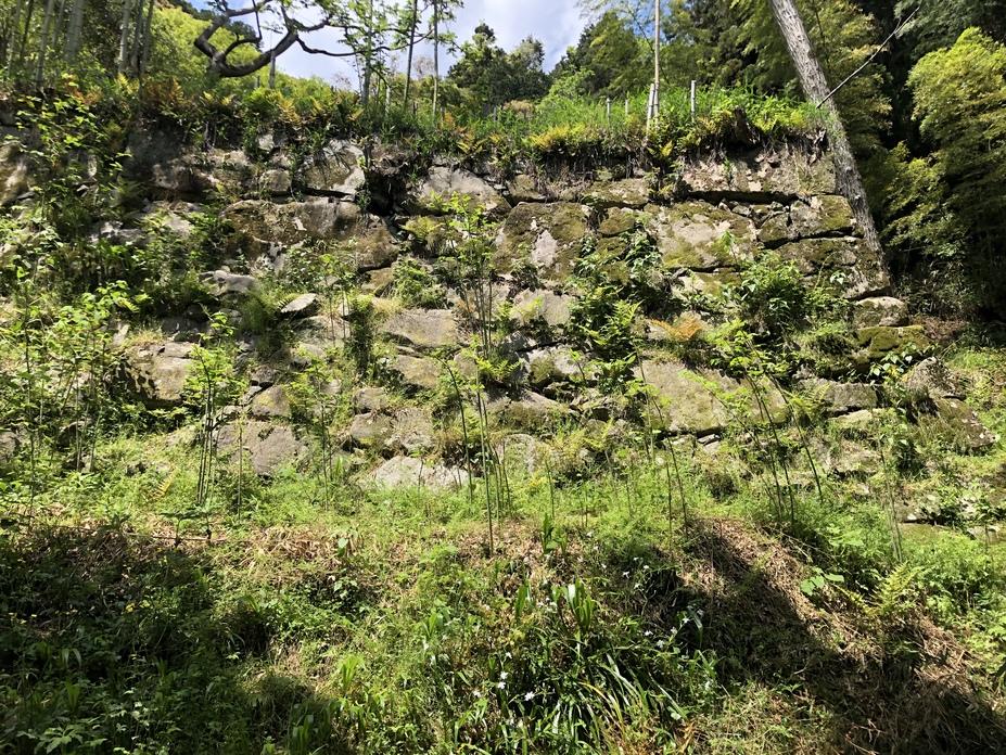 八幡山城