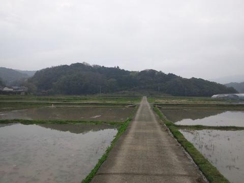 上津浦城