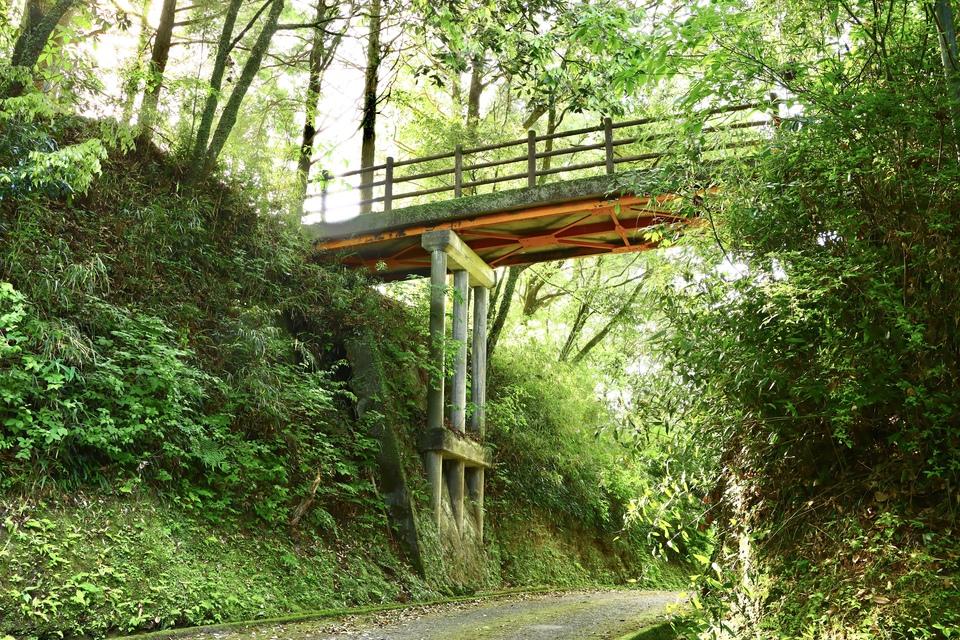 龍虎城