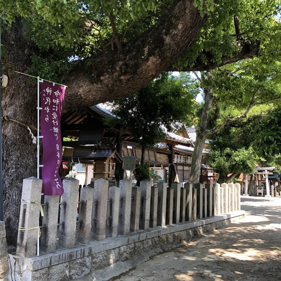 新堀城