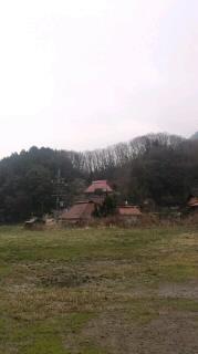 勝山城
