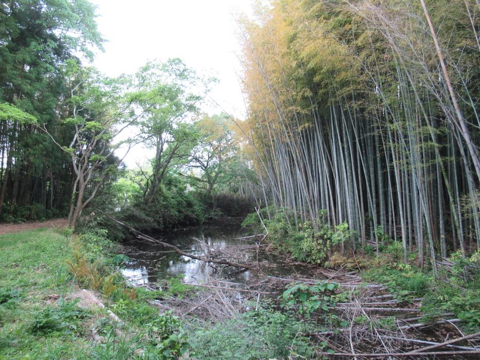 松岡城
