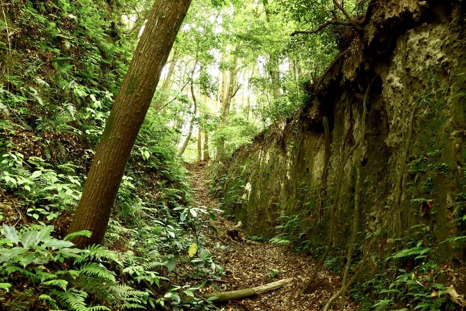 小山田城