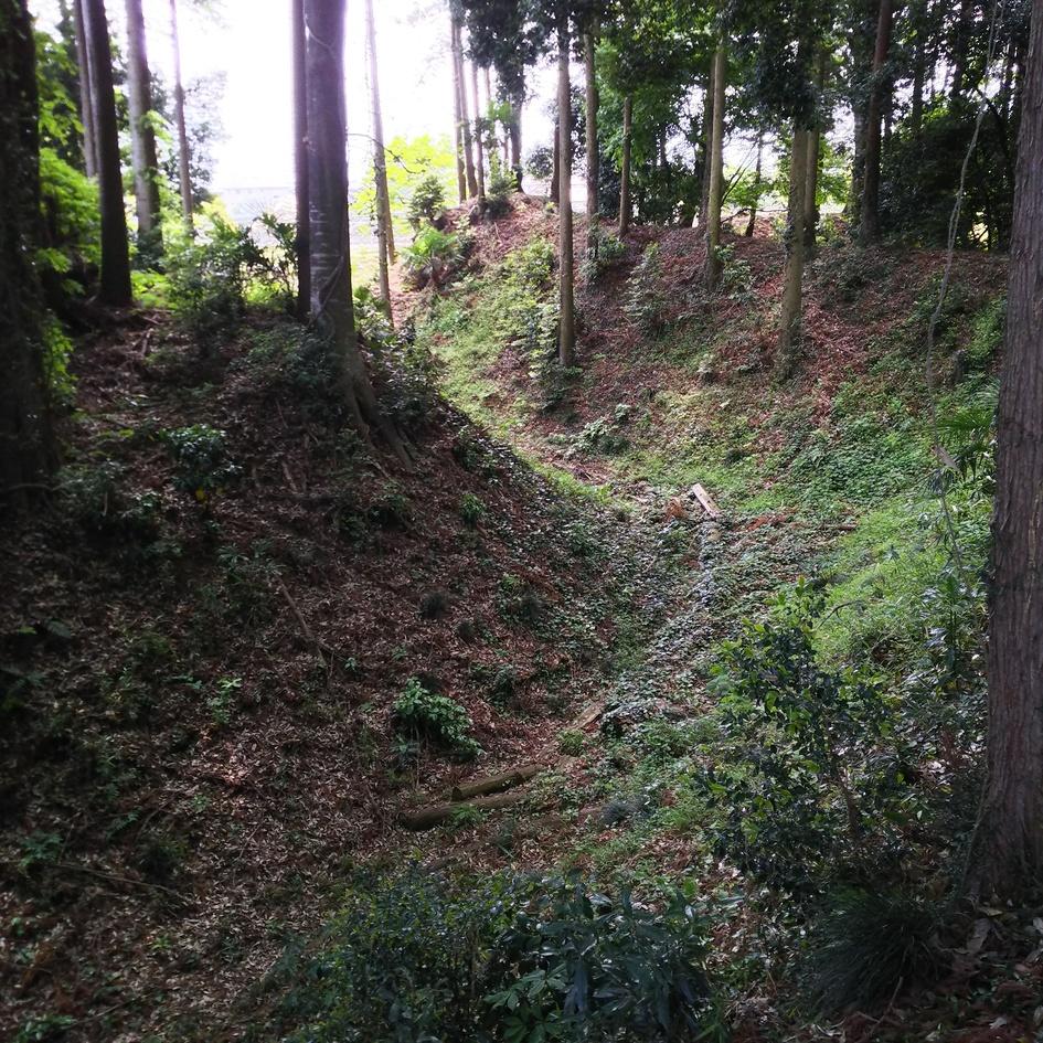 岡本城