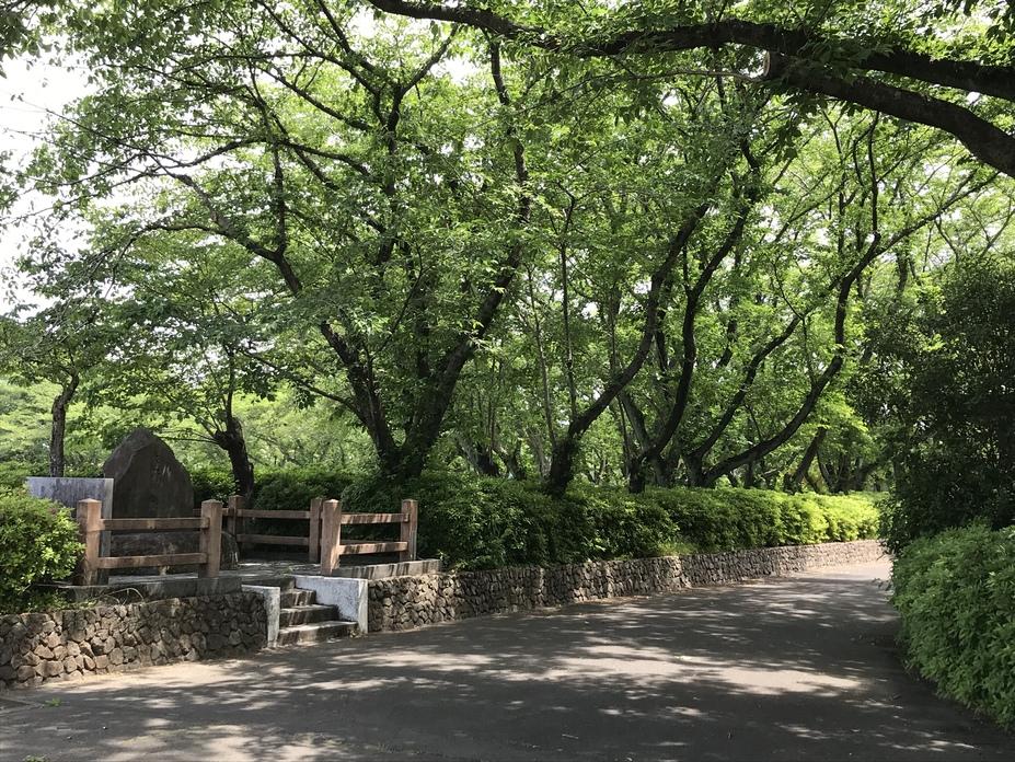 大野城