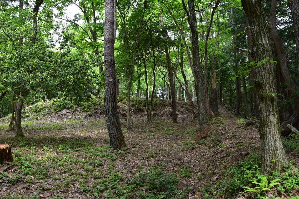 田上山城
